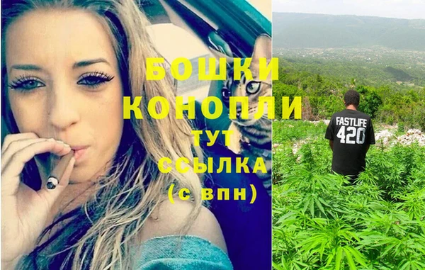гидра Алексеевка
