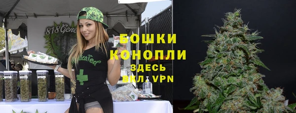 гидра Алексеевка