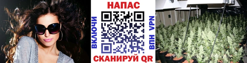 Бошки марихуана план Чадан